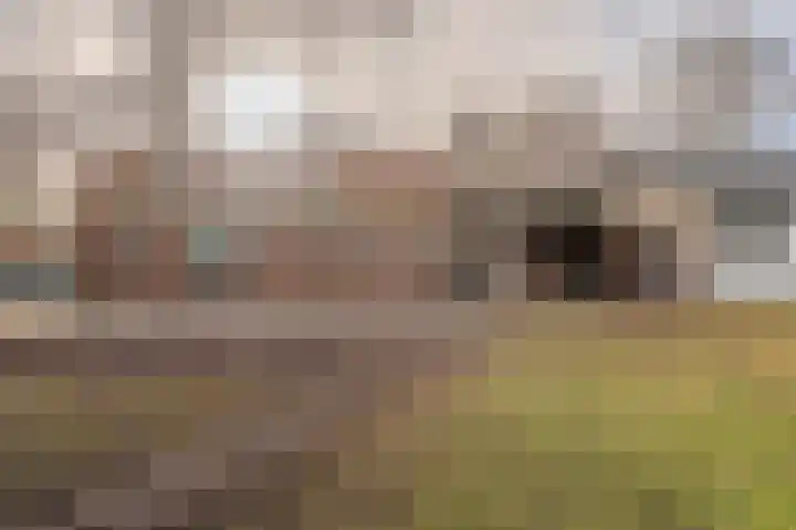 Parallelweg 3 Bellingwolde thumbnail 14