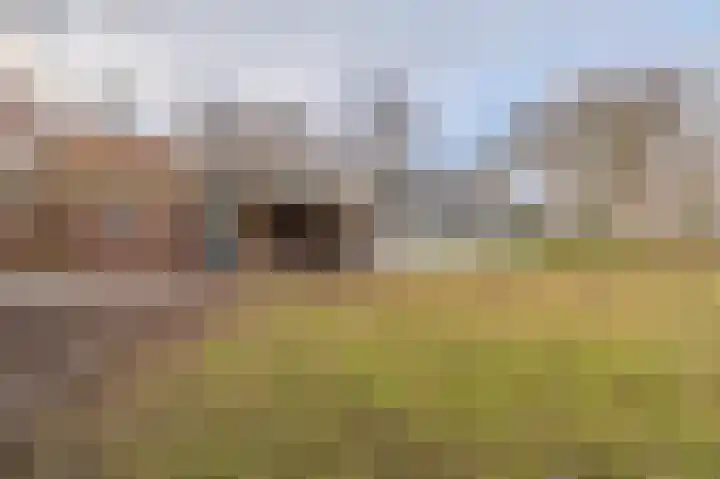 Parallelweg 3 Bellingwolde thumbnail 15