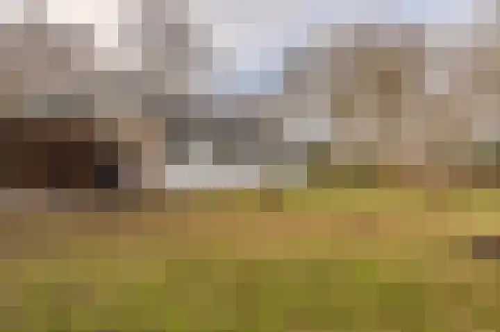 Parallelweg 3 Bellingwolde thumbnail 16