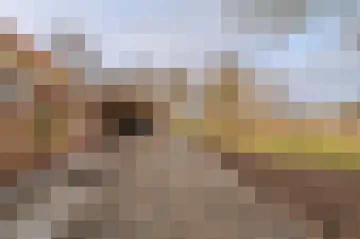 Parallelweg 3 Bellingwolde thumbnail 17