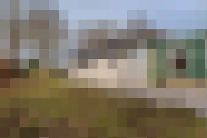 Parallelweg 3 Bellingwolde thumbnail 19