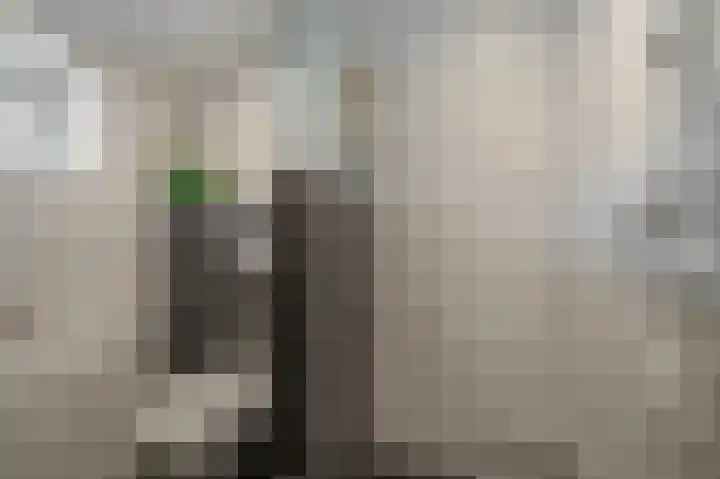 Parallelweg 3 Bellingwolde thumbnail 25