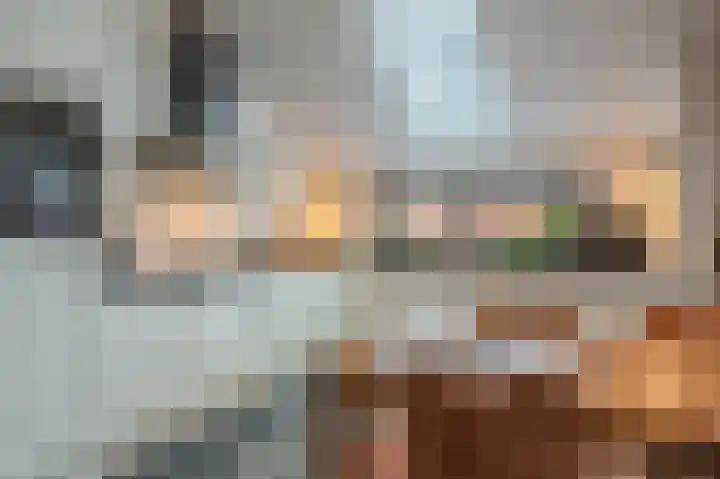Parallelweg 3 Bellingwolde thumbnail 28