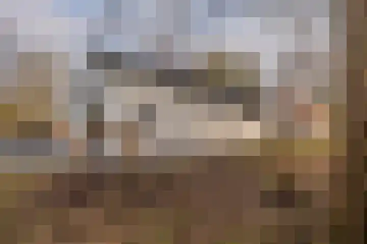 Parallelweg 3 Bellingwolde thumbnail 4