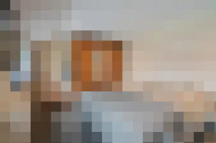 Parallelweg 3 Bellingwolde thumbnail 41