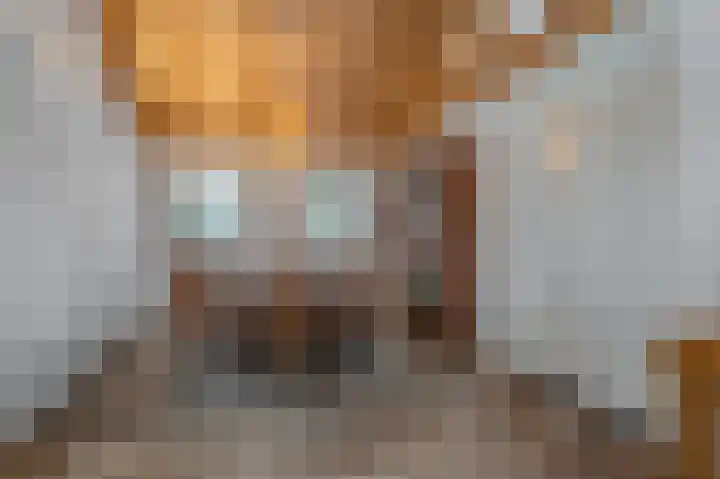Parallelweg 3 Bellingwolde thumbnail 45