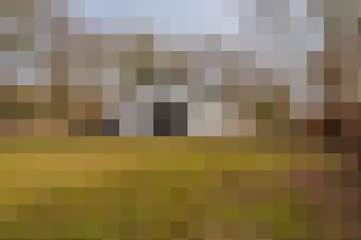 Parallelweg 3 Bellingwolde thumbnail 5