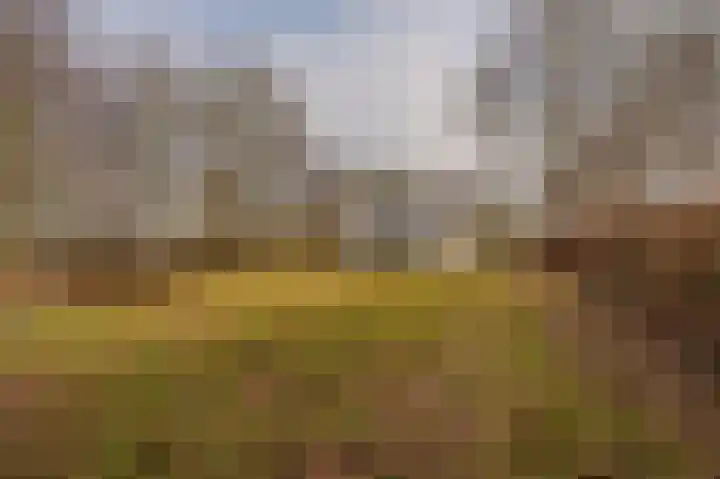 Parallelweg 3 Bellingwolde thumbnail 6