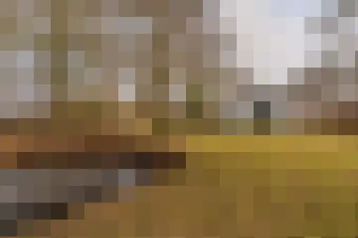 Parallelweg 3 Bellingwolde thumbnail 7