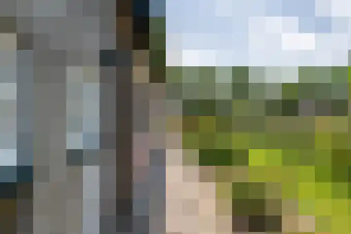 Parallelweg 3 Geldermalsen thumbnail 10