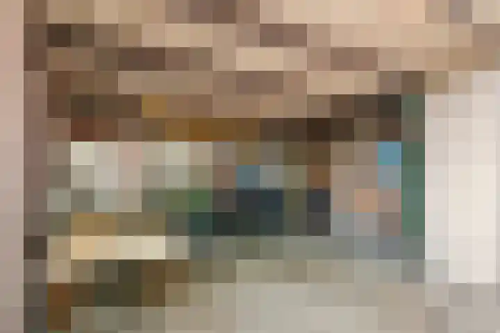 Parallelweg 3 Geldermalsen thumbnail 12