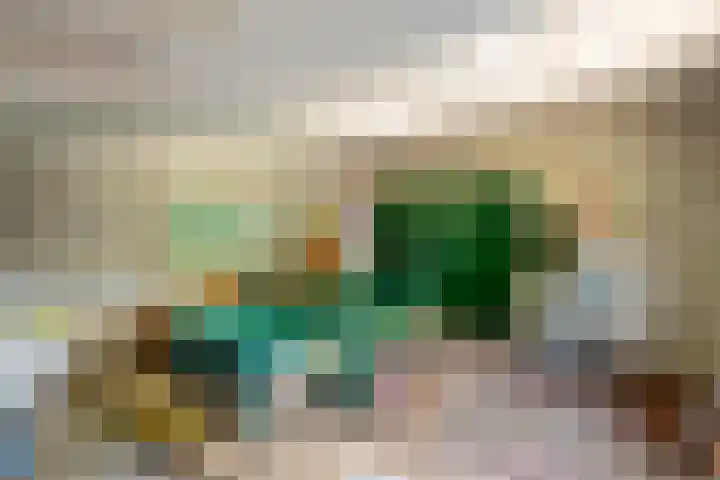 Parallelweg 3 Geldermalsen thumbnail 13