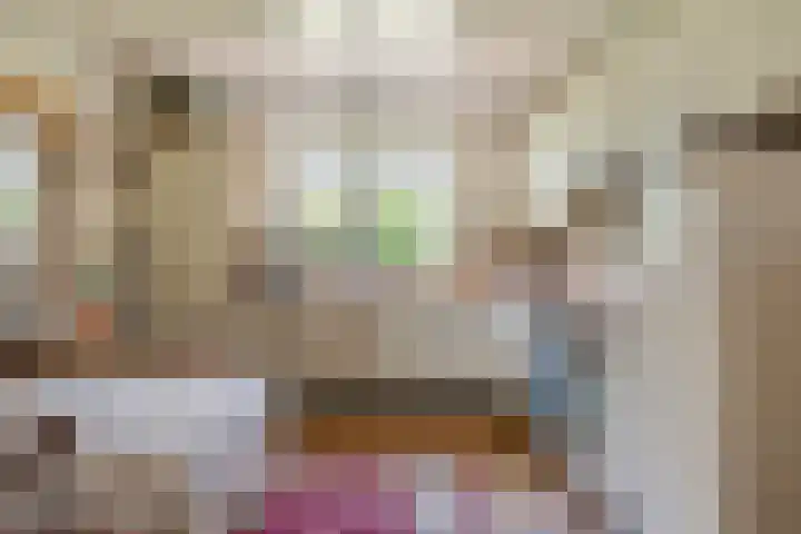 Parallelweg 3 Geldermalsen thumbnail 17