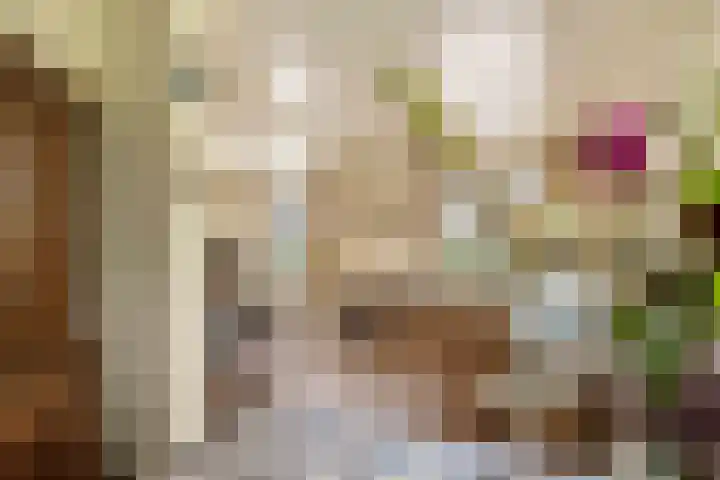 Parallelweg 3 Geldermalsen thumbnail 21