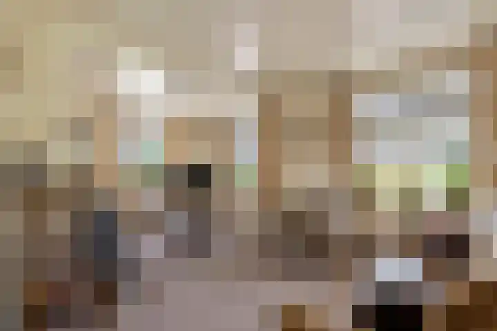 Parallelweg 3 Geldermalsen thumbnail 22