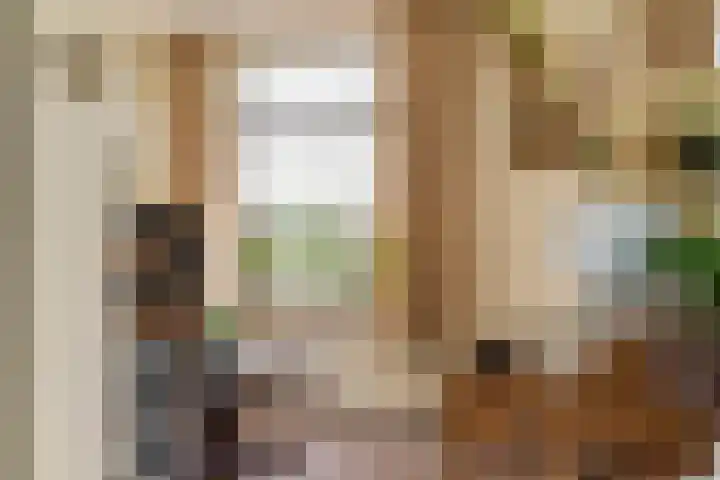 Parallelweg 3 Geldermalsen thumbnail 27
