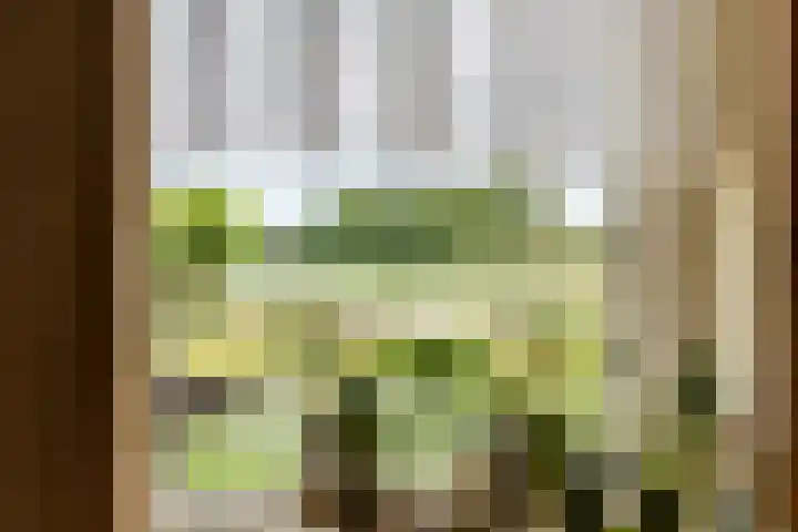 Parallelweg 3 Geldermalsen thumbnail 28