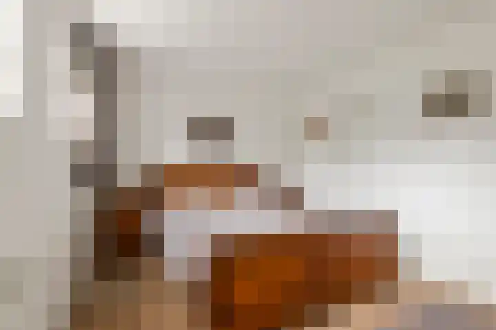 Parallelweg 3 Geldermalsen thumbnail 33