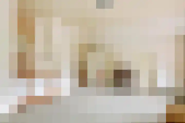 Parallelweg 3 Geldermalsen thumbnail 41