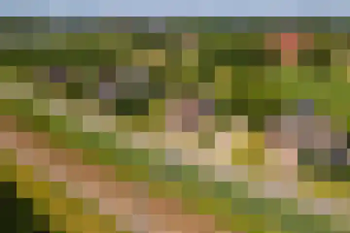 Parallelweg 3 Geldermalsen thumbnail 45