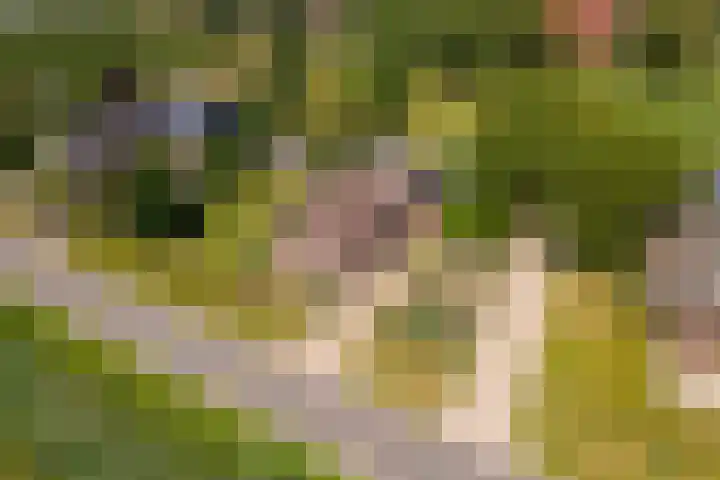 Parallelweg 3 Geldermalsen thumbnail 46