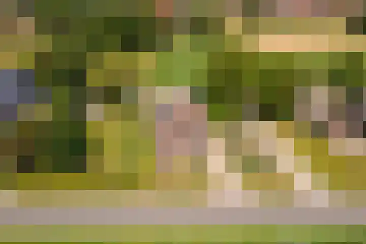 Parallelweg 3 Geldermalsen thumbnail 47