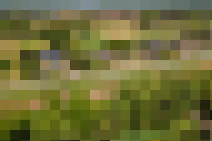 Parallelweg 3 Geldermalsen thumbnail 48
