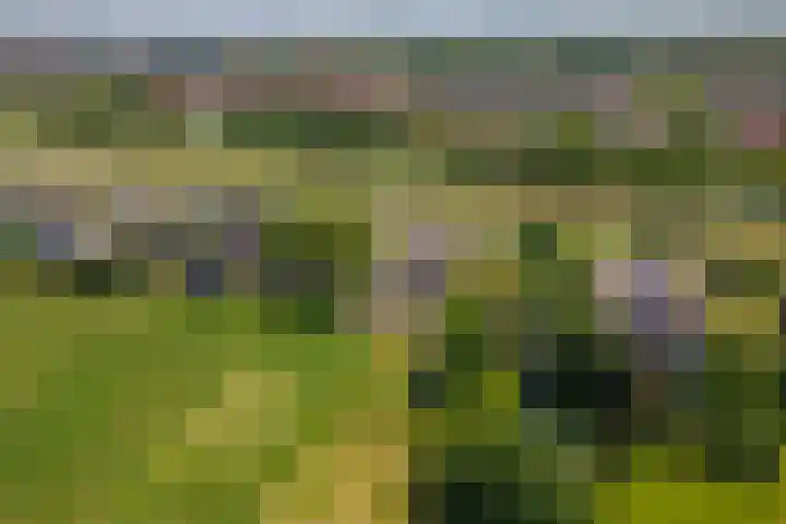 Parallelweg 3 Geldermalsen thumbnail 49