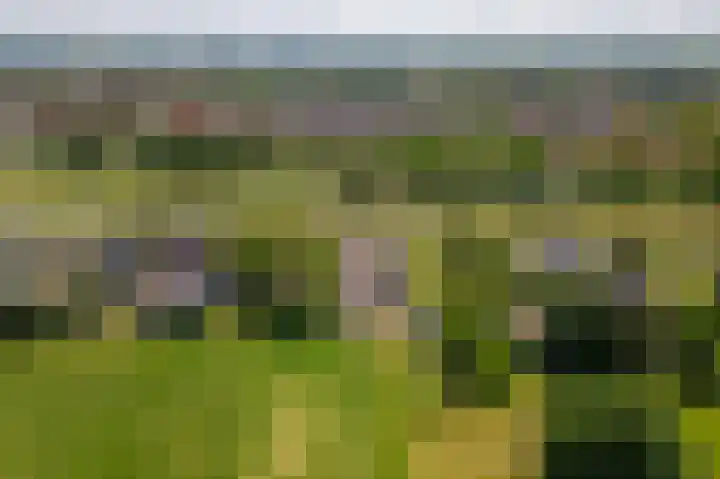 Parallelweg 3 Geldermalsen thumbnail 50