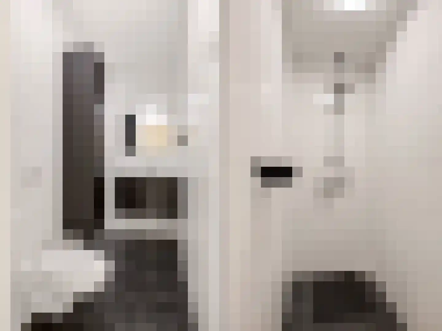 Parallelweg 3 Heelsum thumbnail 13
