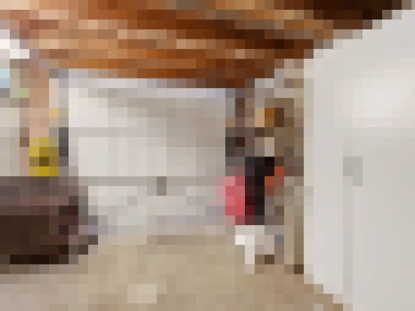 Parallelweg 3 Heelsum thumbnail 18