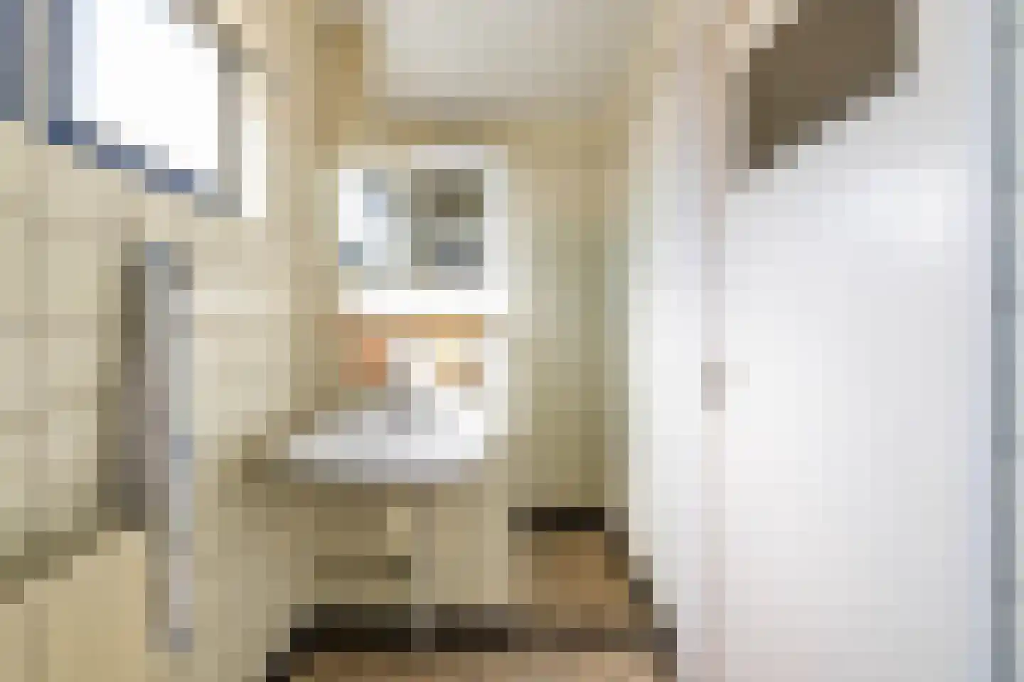 Parallelweg 30 Glimmen thumbnail 28