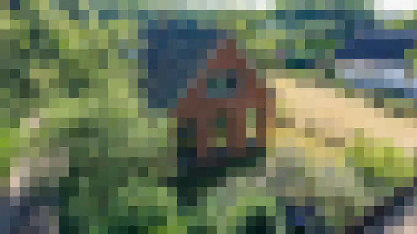 Parallelweg 30 Glimmen thumbnail 4