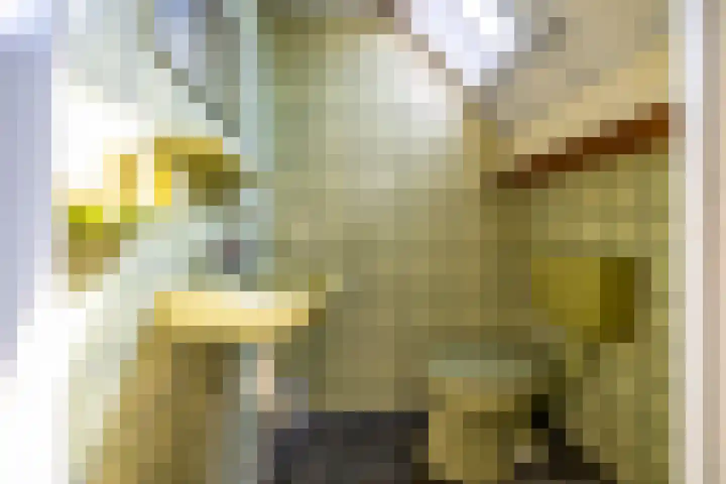 Parallelweg 30 Glimmen thumbnail 42