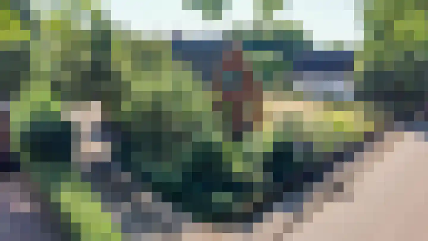 Parallelweg 30 Glimmen thumbnail 5