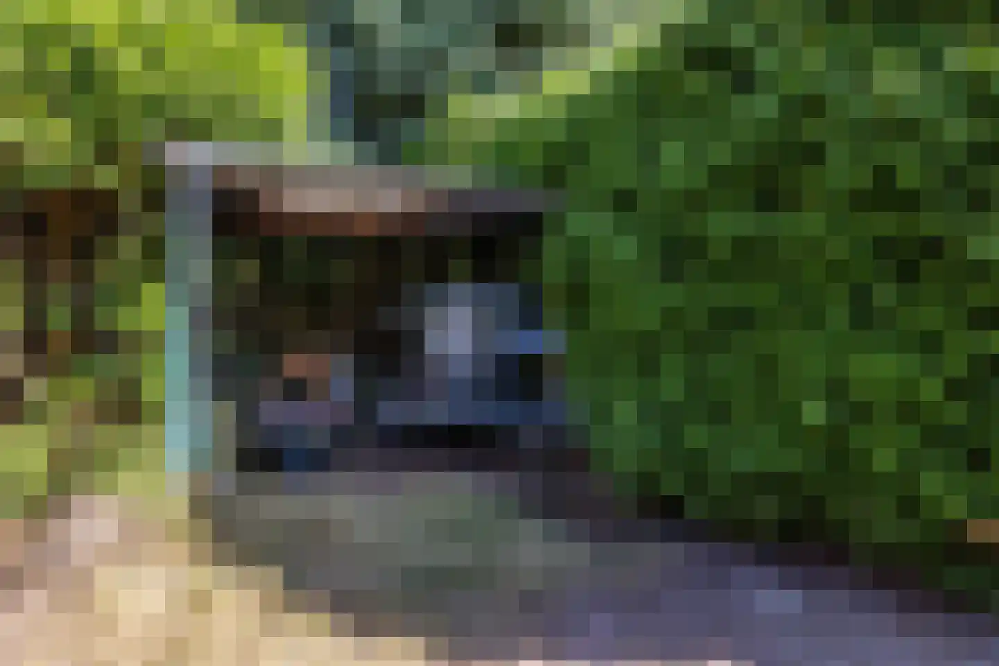 Parallelweg 30 Glimmen thumbnail 54