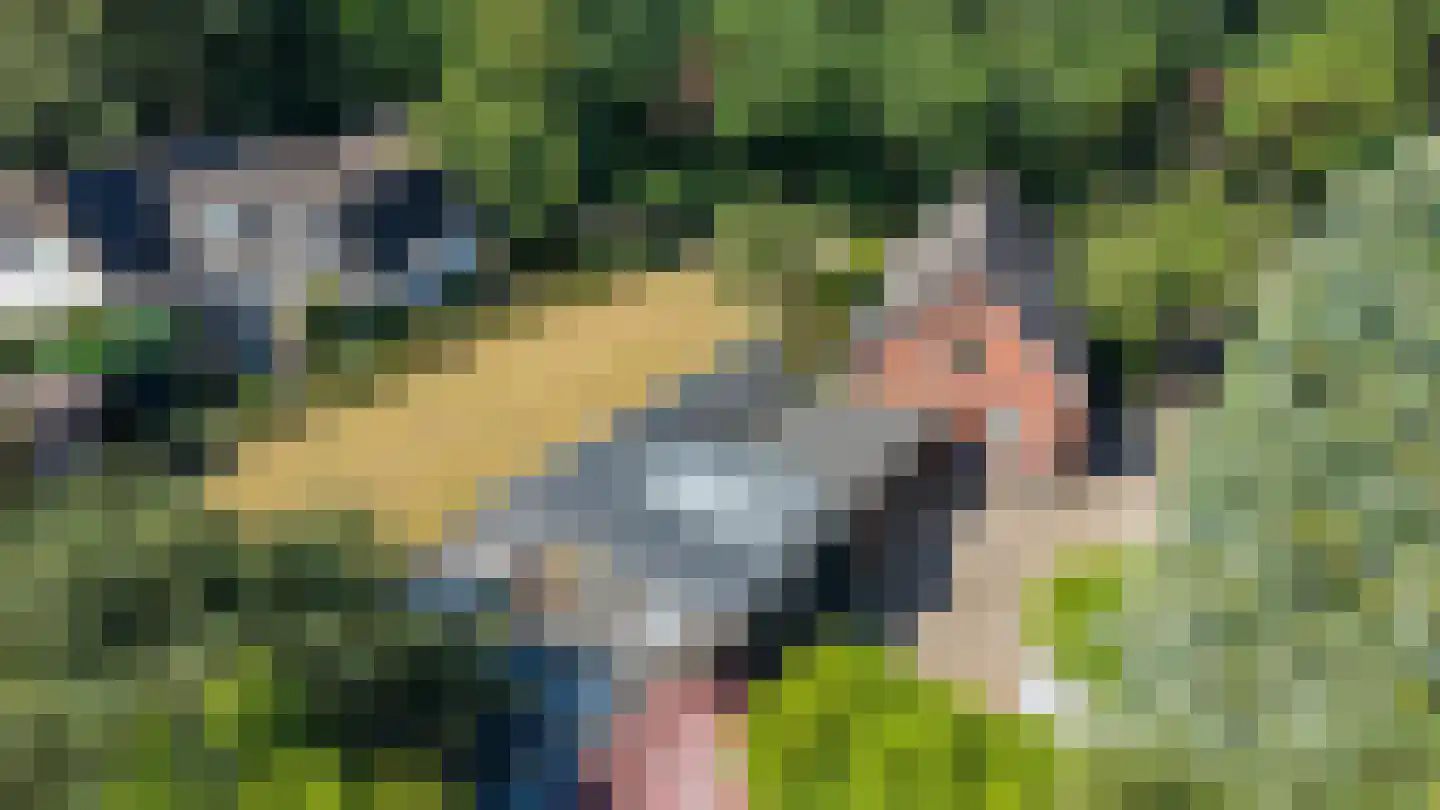 Parallelweg 30 Glimmen thumbnail 6