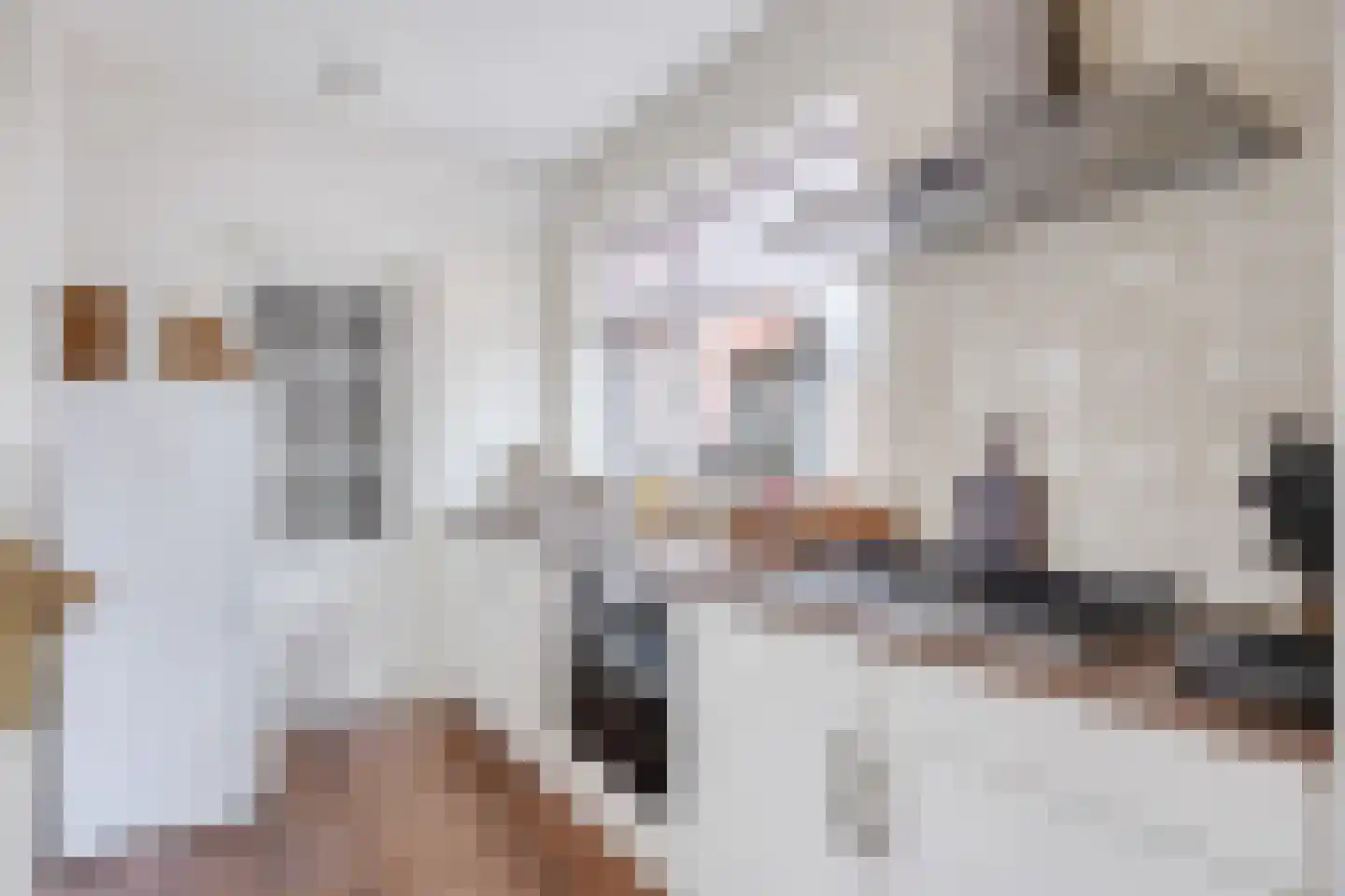 Parallelweg 31 Beerta thumbnail 16