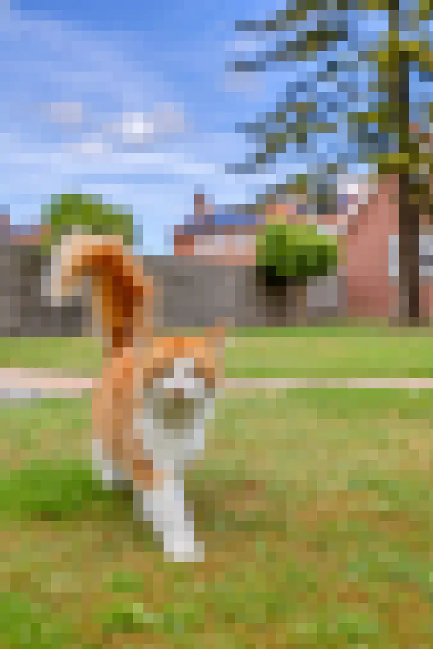 Parallelweg 31 Beerta thumbnail 51