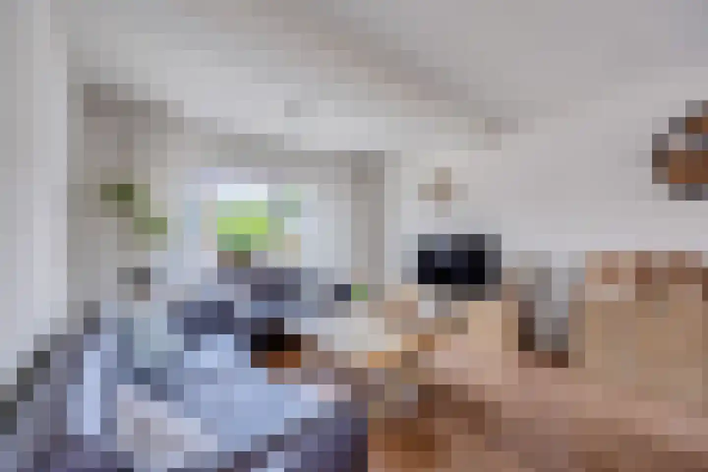 Parallelweg 31 Beerta thumbnail 8