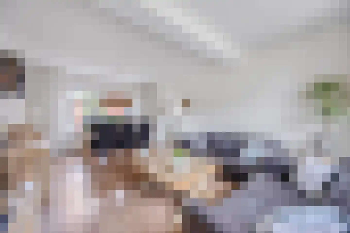 Parallelweg 31 Beerta thumbnail 9