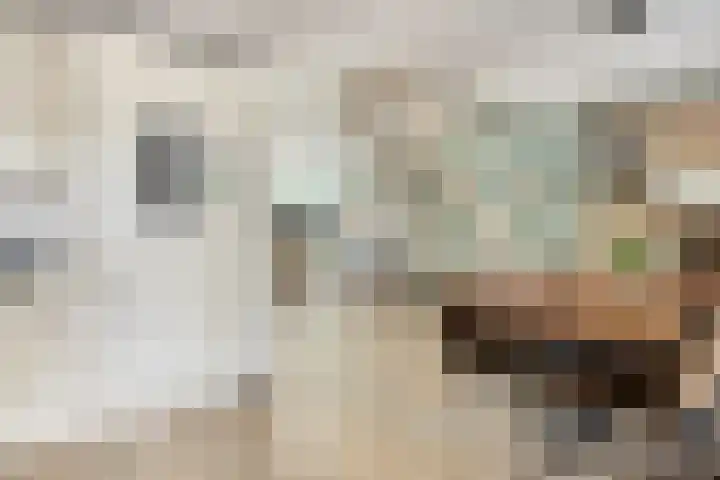 Parallelweg 33 a Budel-Schoot thumbnail 12