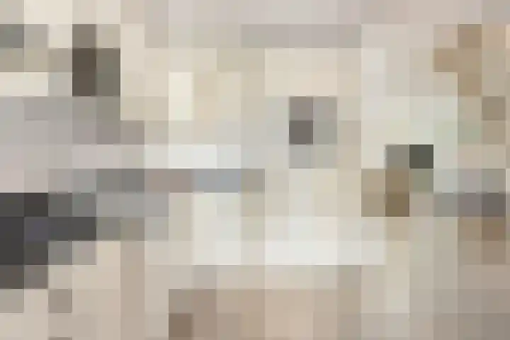 Parallelweg 33 a Budel-Schoot thumbnail 13