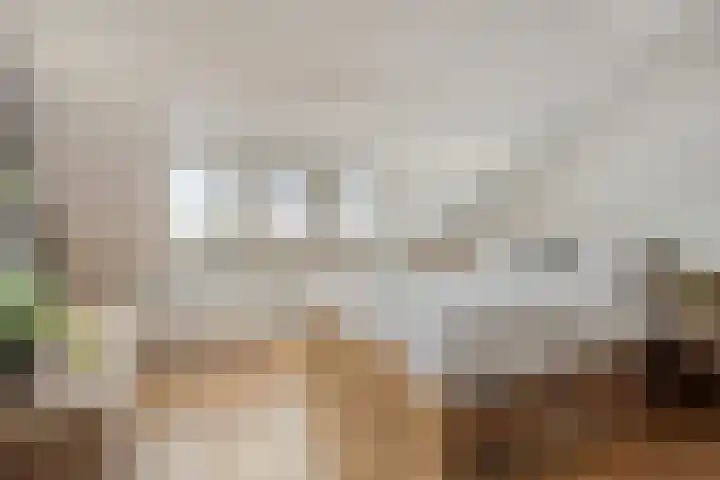 Parallelweg 33 a Budel-Schoot thumbnail 18