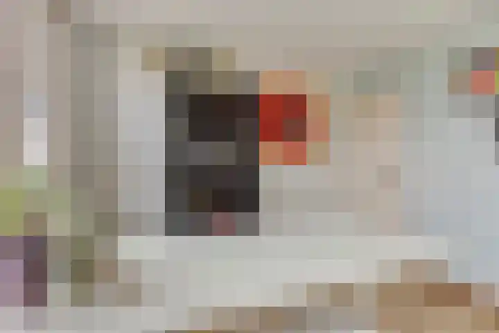Parallelweg 33 a Budel-Schoot thumbnail 23