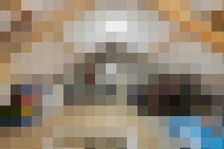 Parallelweg 33 a Budel-Schoot thumbnail 27
