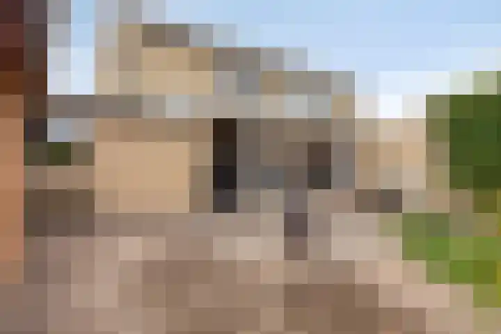 Parallelweg 33 a Budel-Schoot thumbnail 28
