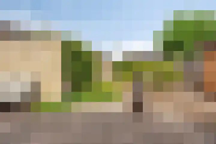 Parallelweg 33 a Budel-Schoot thumbnail 30