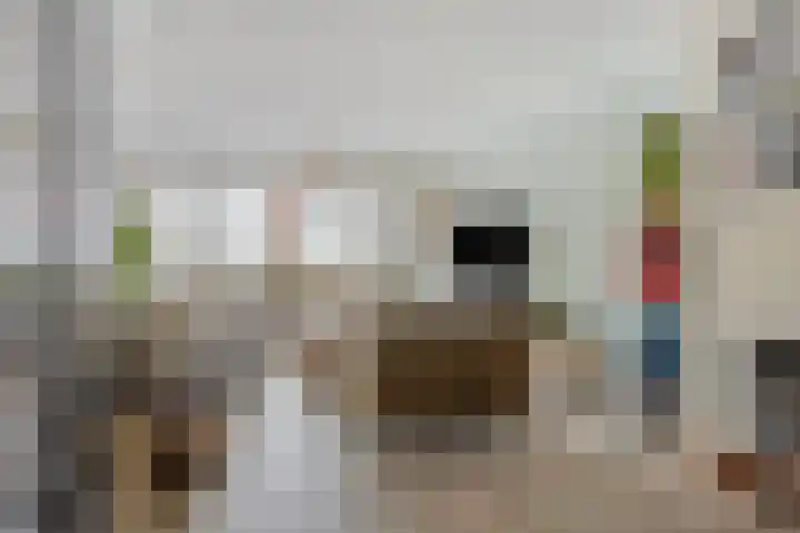 Parallelweg 33 a Budel-Schoot thumbnail 5