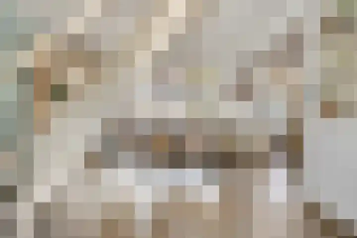 Parallelweg 33 a Budel-Schoot thumbnail 8
